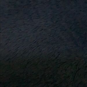 Meet your Posher, Kiley